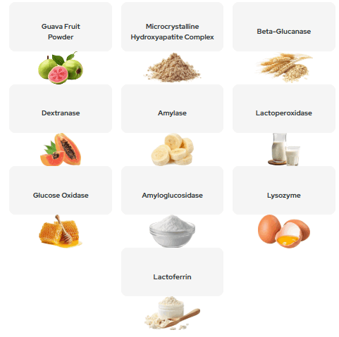 Synadentix official website Ingredients